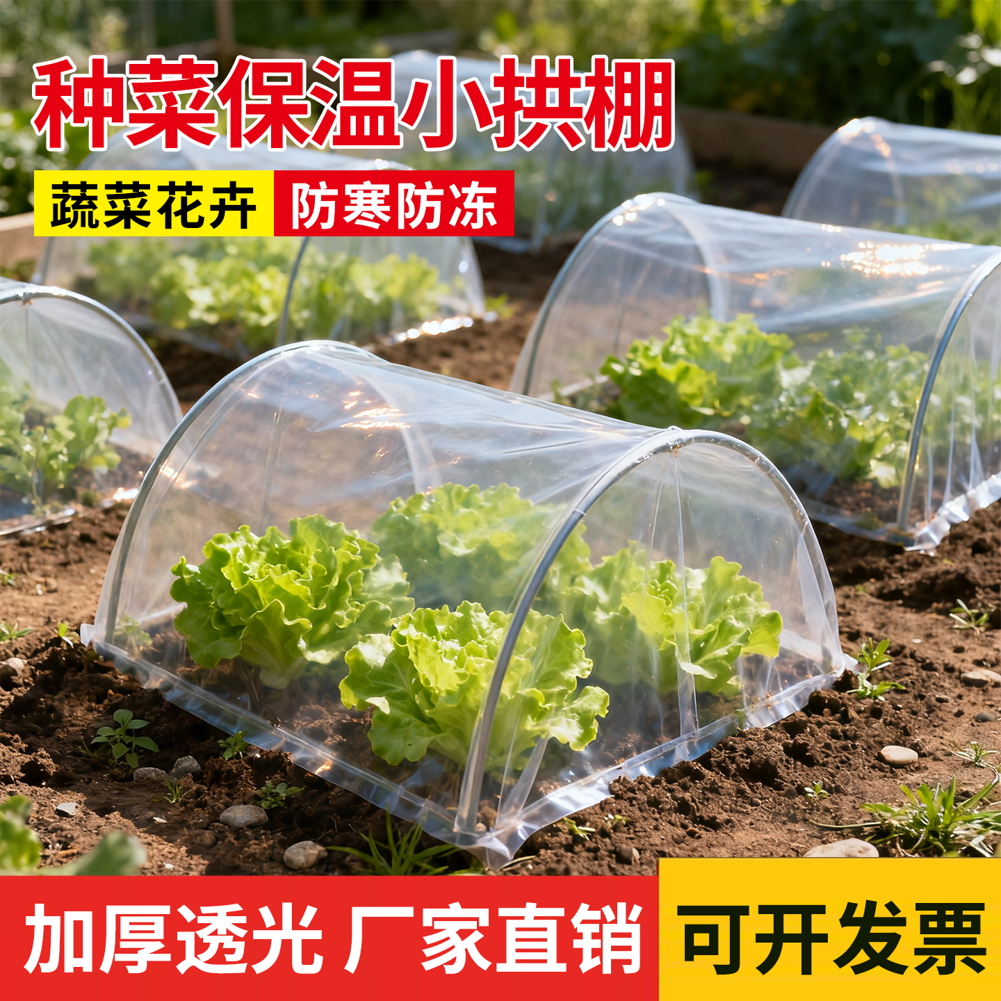 小拱棚保温膜透明种菜防寒地膜