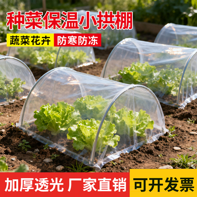 小拱棚保温膜透明种菜防寒地膜