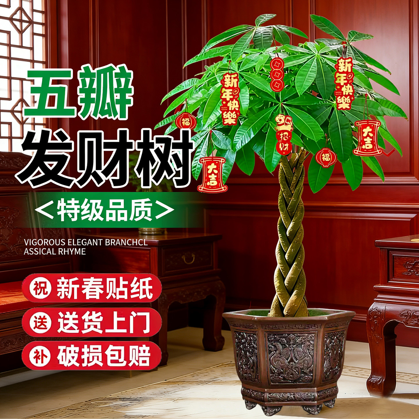 客厅盆栽辫子发财树招财树大型室内绿植办公室乔迁开业落地植物,鲜花速递/花卉仿真/绿植园艺,大型绿植/成品组合盆栽,淘宝优惠券,粉丝福利购,淘宝优惠卷