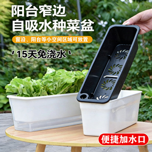 长方形花盆透明懒人神器种葱阳台种菜盆蔬菜专用种植箱超窄窗沿边