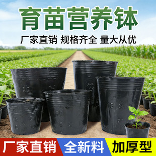 育苗杯营养杯营养钵育苗盆黑色营养袋加厚黑色一次性塑料杯大号