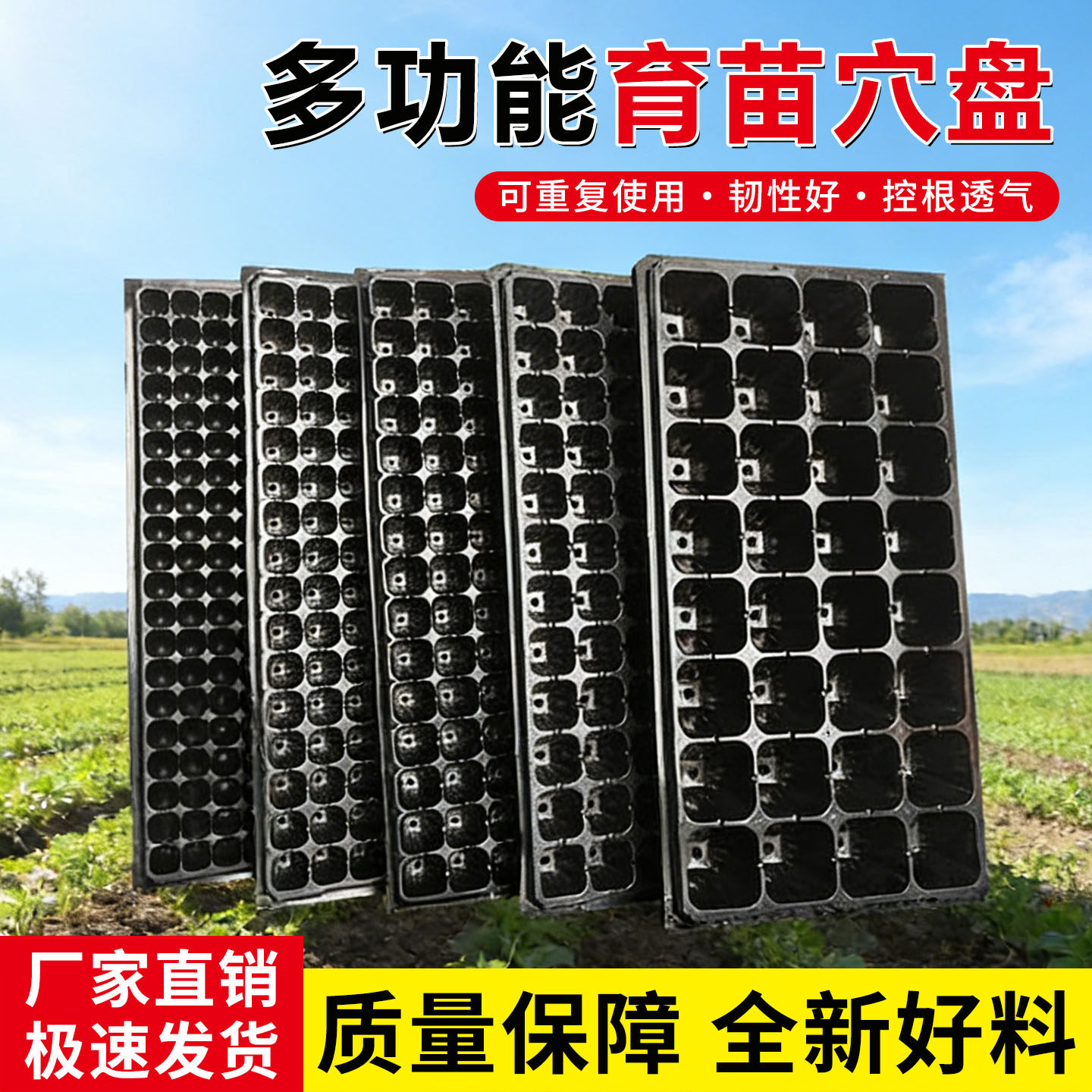 育苗盘育苗盆穴盘塑料杯育苗杯多肉种植蔬菜育种扦插多肉育苗盒