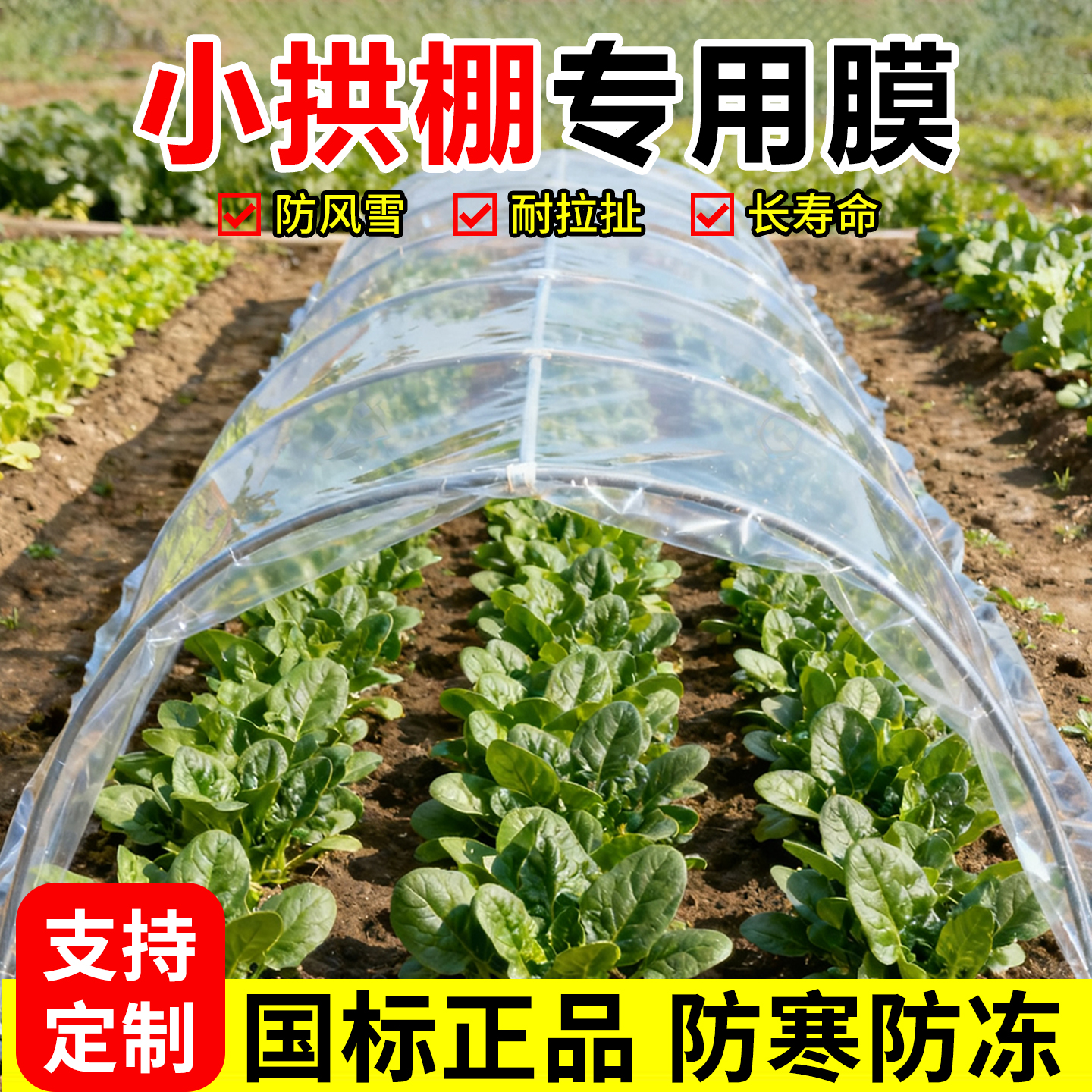薄膜小拱棚膜大棚塑料膜