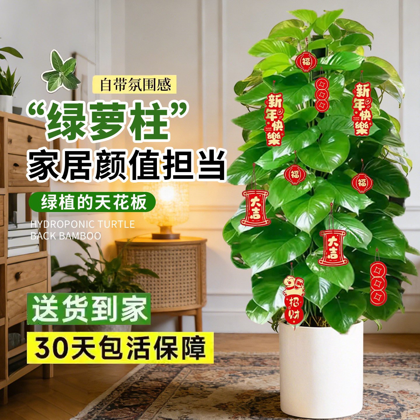 大叶绿萝柱大盆栽客厅大型绿植室内绿萝除甲醛净化空气植物好养活,鲜花速递/花卉仿真/绿植园艺,大型绿植/成品组合盆栽,淘宝优惠券,粉丝福利购,淘宝优惠卷