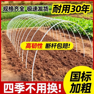 小拱棚支架大棚玻璃纤维杆农用菜园菜棚骨架弹力保温新型实心拱杆