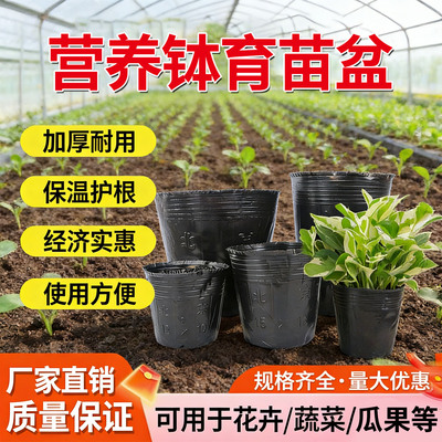 【厂家直销】全新料加厚营养杯