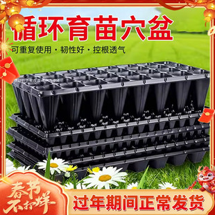 批发育苗盘育苗盆穴盘塑料杯多肉种植蔬菜育种扦插营养杯育苗盒