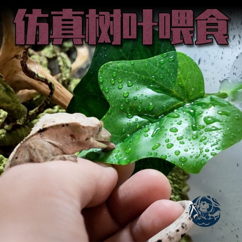 睫角守宫果泥喂食神奇树栖喂水仿真树叶造景水盆蜘蛛变色龙饮水器