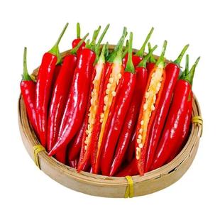 新鲜小米辣椒红辣椒尖椒朝天椒薄皮小米椒特辣红辣椒批发