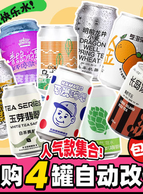 【54元任选4件】果味北平机器山乘气泡实验室拾捌精酿