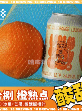 拾捌精酿 橙熟点/哎柚喂水果茶古斯精酿啤酒罐装330ml
