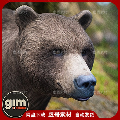 UE4模型 Animalia Brown Bear male 森林黑熊狗熊动物模型