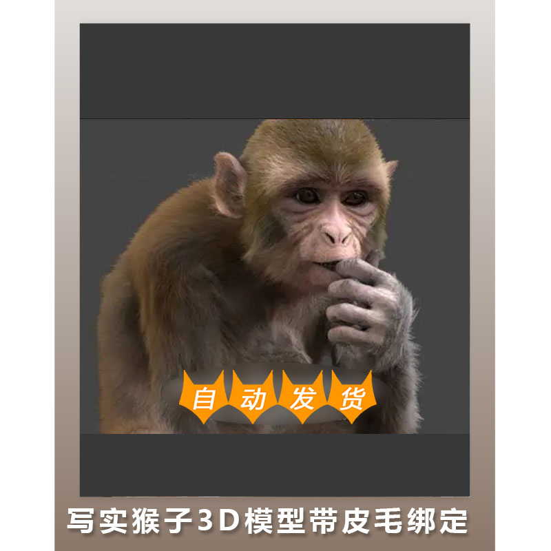 写实猴子模型带皮毛绑定 3D模型 动物模型 Maya FBX OBJ
