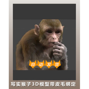 FBX 写实猴子模型带皮毛绑定 Maya 3D模型 OBJ 动物模型