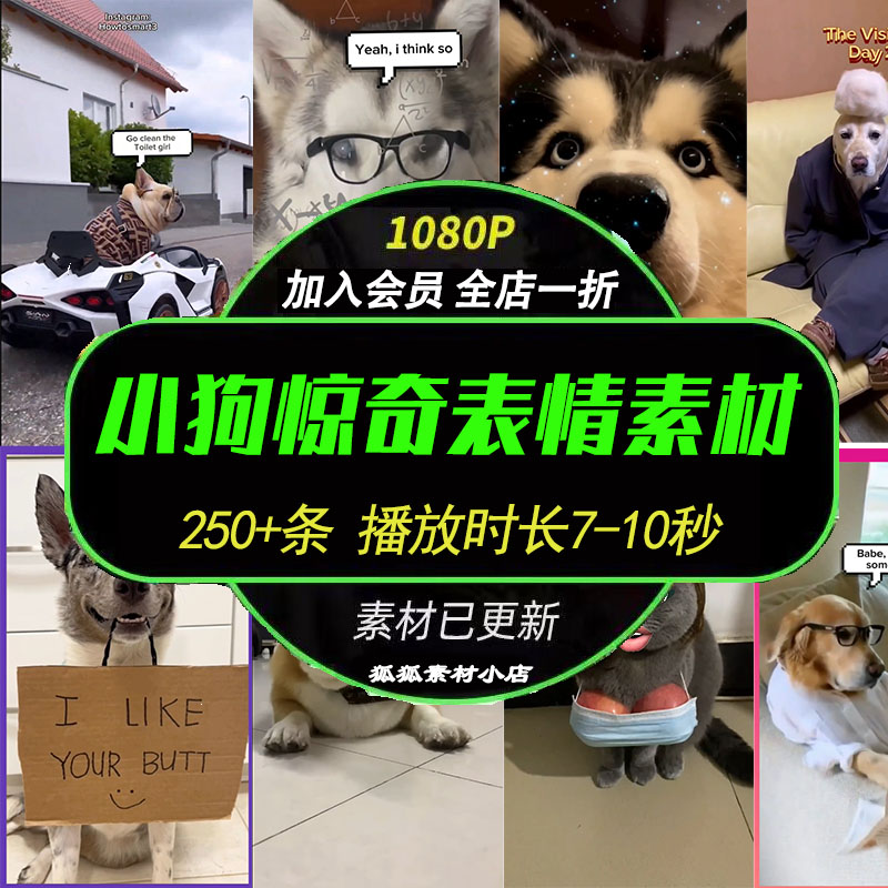 短视频素材 小动物小猫小惊奇表情搞笑动物竖屏MP4素材