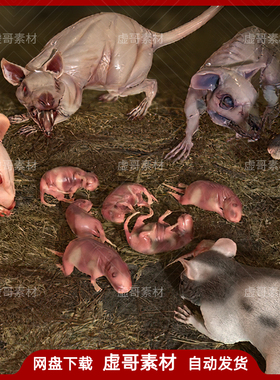 UE4UE5模型 Rats Complete Pack 变异老鼠怪物骨骼模型动画