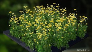 UE4 虚幻4 Field Grass Package Vol. 1 花草资源