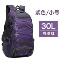 Сиреневый маленький дождевик, модернизированная версия