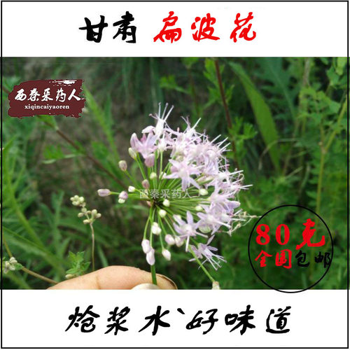 野葱花甘肃特产扁波花羊胡子地椒