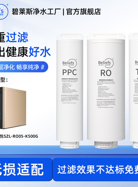 碧莱斯适用水之丽铂悦净水器滤芯SZL-RO05-K500G纯水机复合滤芯