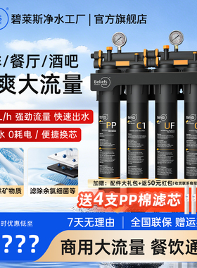 碧莱斯超滤过滤器奶茶店滤水器