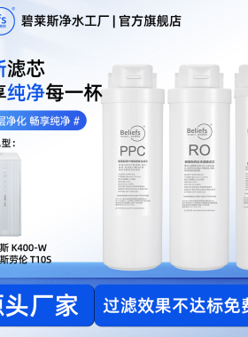 碧莱斯适配史密斯K400-W史密斯劳伦T10S通用PPC反渗透滤芯后置C