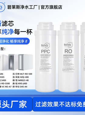 碧莱斯适配净之宝/帷康/奥立净/奔克通用PPC/后置C/RO反渗透滤芯