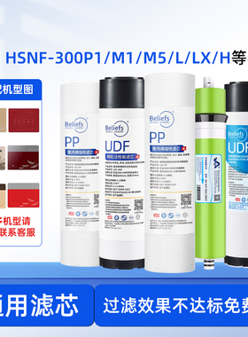 碧莱斯适用于海尔施特劳斯净水机器滤芯机HSNF300M1/M5/P1H/B/P8
