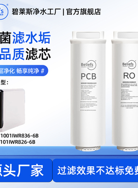 适配樱雪2101IWR826-6B/836-6B净水器滤芯通用PCB、RO反渗透滤芯