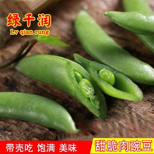 甜脆豌肉豆种籽软荚农家