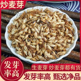 生麦芽中药材炒麦芽精品大麦芽茶 断奶退奶回奶汤草药生麦芽