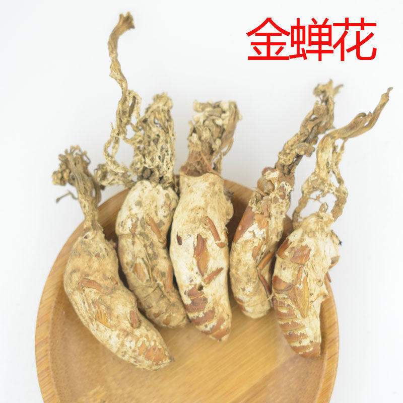 野生金蝉花 金蝉花土蝉花蝉菌蝉蛹草蛹茸虫花 250克