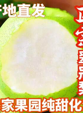四川广元苍溪翠冠梨当季水果