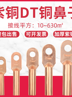 铜鼻子DT16/35/50/70/95/120/185/240/300平方铜线耳接线端子镀锡