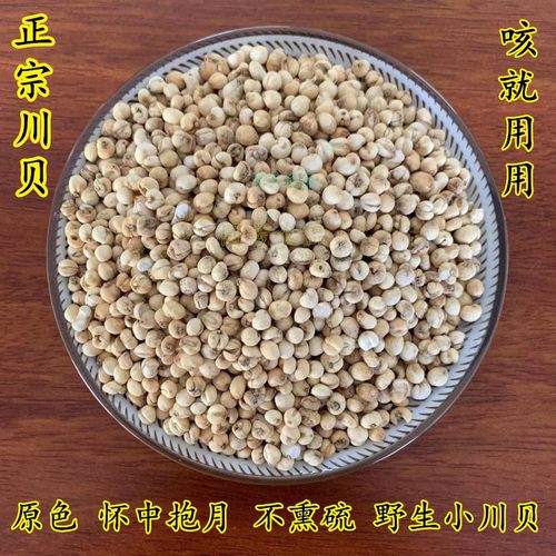 野生四川贝母正品贝母多选规格