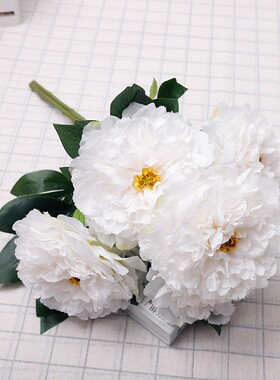 橘梦仿真花花艺牡丹花白色假花