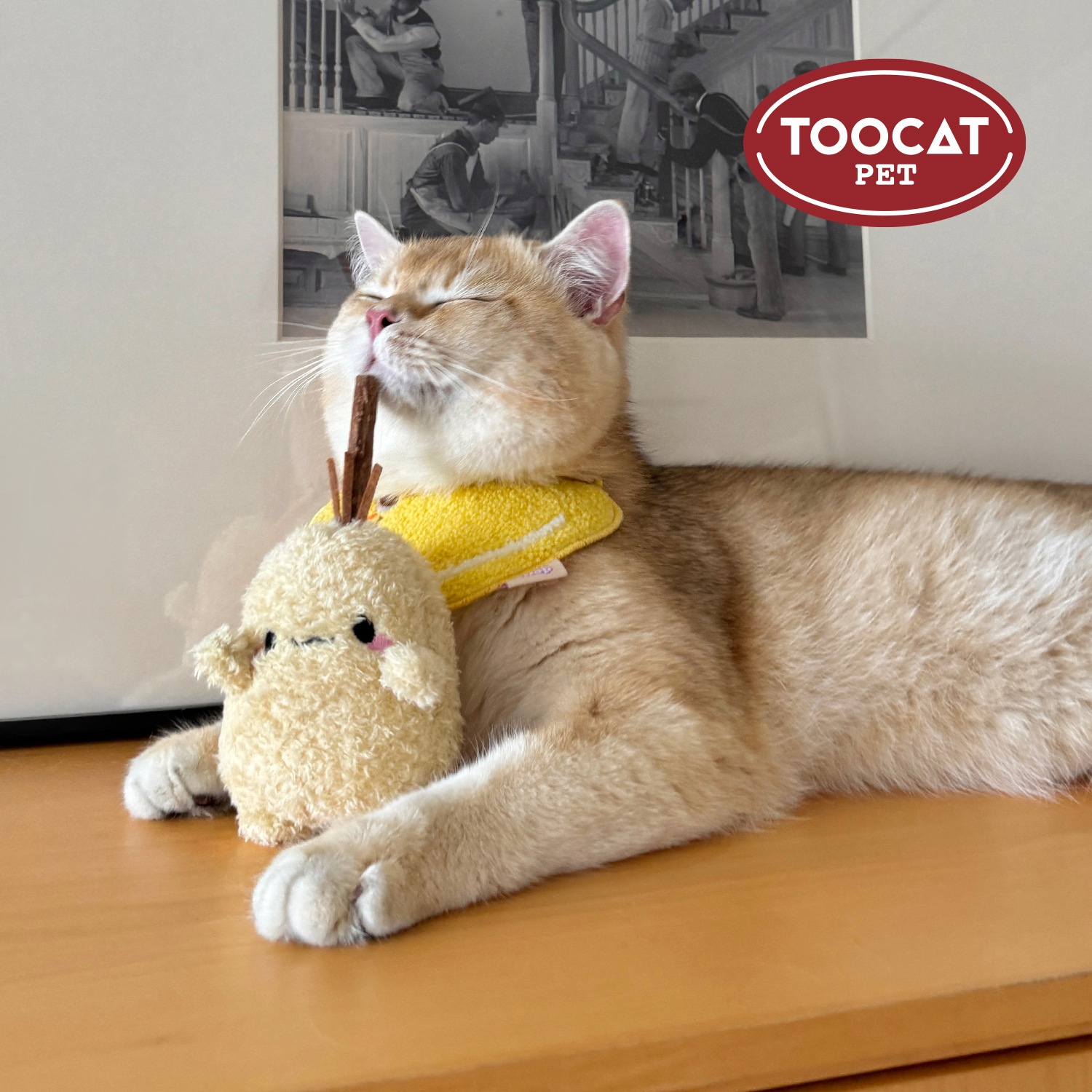 ZOO●TOOCAT小土豆猫咪磨牙玩具耐咬可替换木天蓼逗猫棒宠物用品