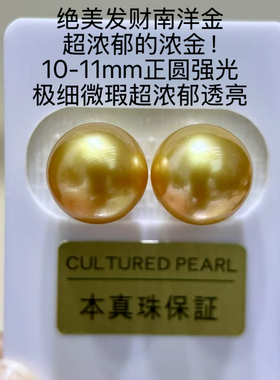 南洋金珠浓金10-11mm正圆强光极细微瑕超浓郁透亮裸珠对珠可订制