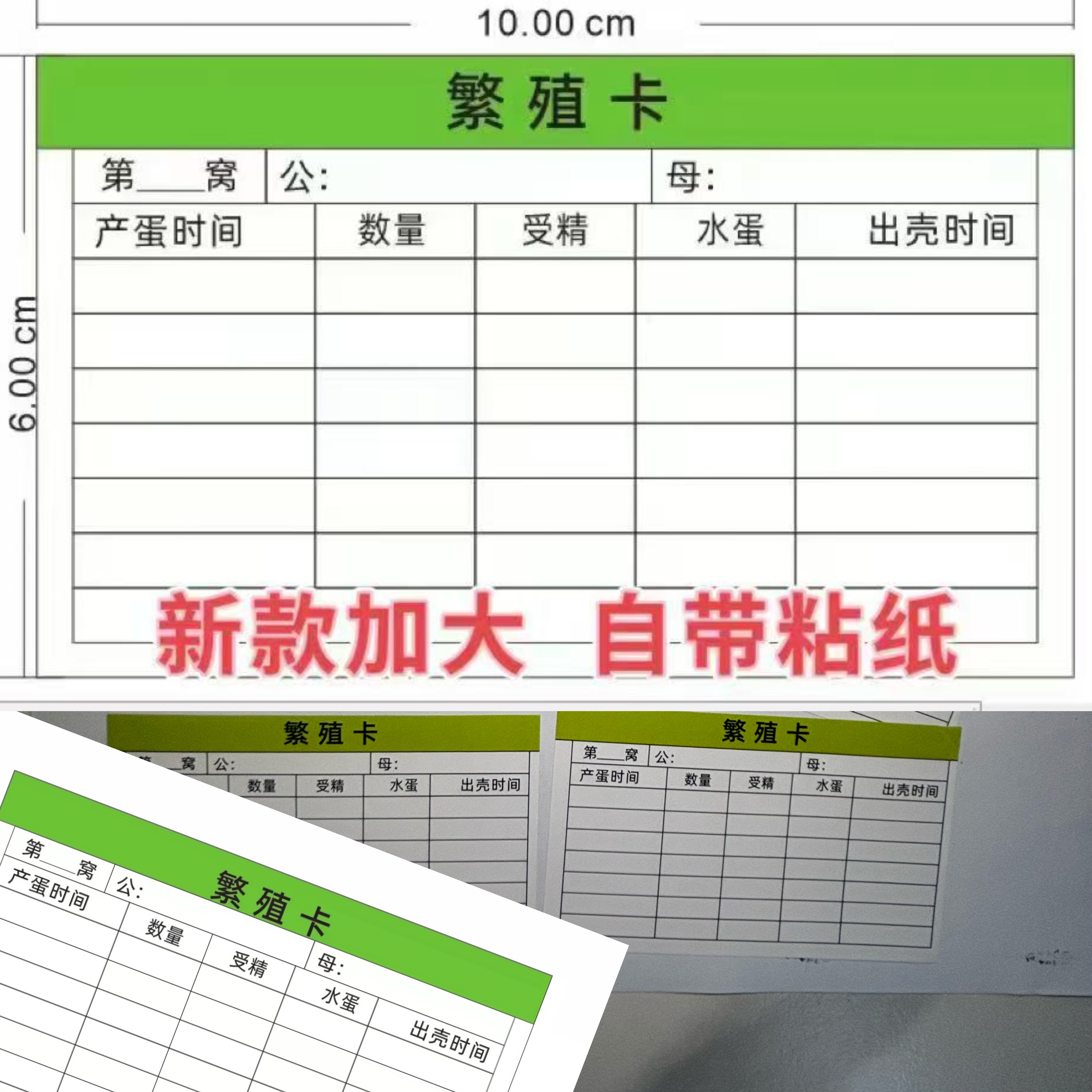 鹦鹉繁殖卡幼鸟繁育记录卡鹦鹉繁殖受精出壳率记录单面可贴现货