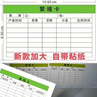 鹦鹉繁殖卡幼鸟繁育记录卡鹦鹉繁殖受精出壳率记录单面可贴现货