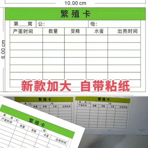二代鹦鹉繁殖卡幼鸟繁育记录卡鹦鹉繁殖受精出壳率记录单面可贴
