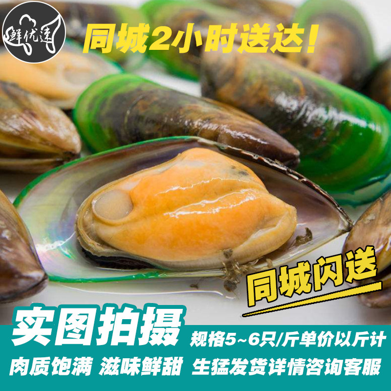 鲜活新鲜青口贝新西兰进口海虹全壳一斤5到7个大号贻贝2斤装配送