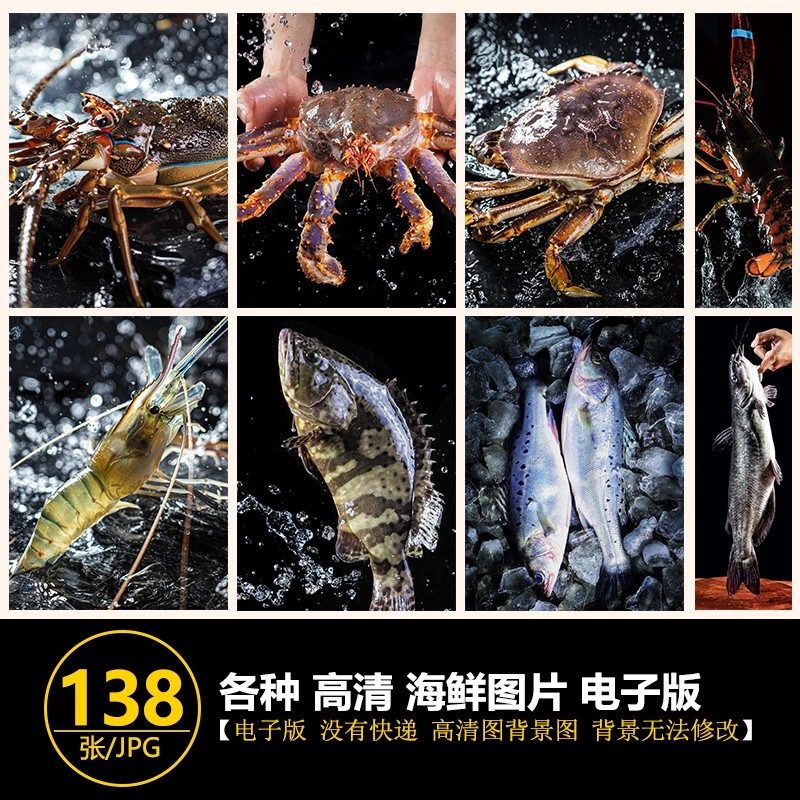 海鲜海产高清图帝王蟹大龙虾小青龙鱼类图片深海海报高清设计图片,商务/设计服务,设计素材/源文件,淘宝优惠券,粉丝福利购,淘宝优惠卷