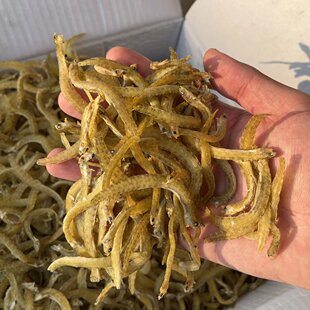 野生凤尾鱼干面条鱼干货丁香鱼小银鱼干山东特产渔民自晒海鲜干货