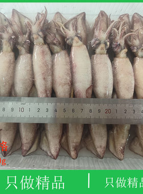 大连海鲜满籽，籽乌顺丰特快