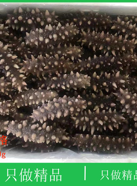 海鲜即食大连大连辽参