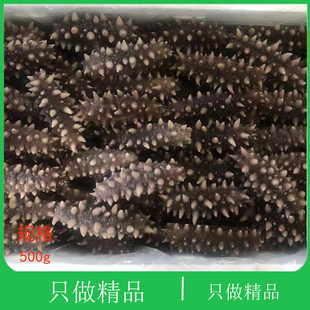 大连海鲜精品礼盒老人孕妇冷冻国标深海野生即食底播补辽刺参海参