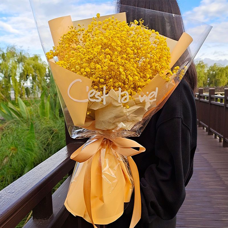 教师节送老师大束满天星