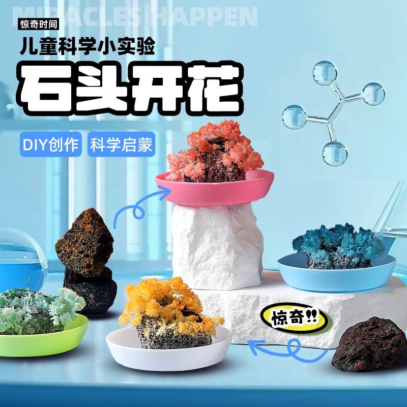 石头开花儿童玩具科学趣