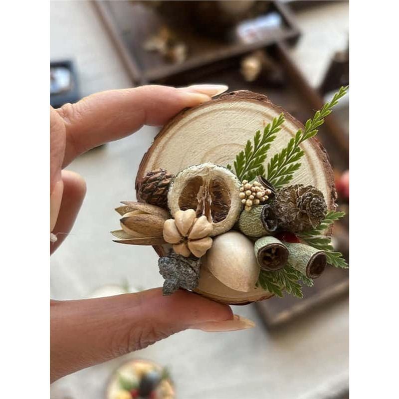 母亲节种子植物果实冰箱